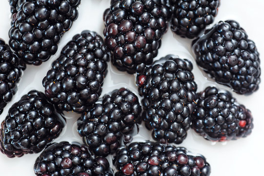 fresh berry blackberry on white background