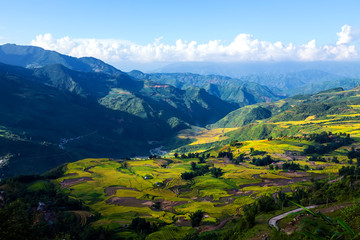 Terraced rice fields in Sapa, Lao Cai, Vietnam 