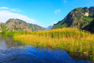 Van Long natural reserve in Ninh Binh, Vietnam 