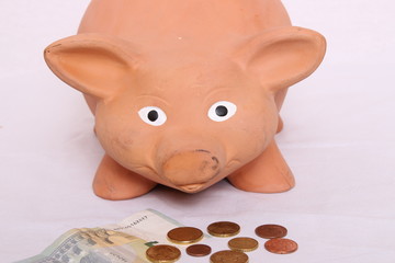 Sparschwein mit Geld