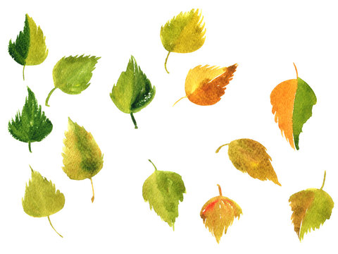 set of silhouettes by leaves in watercolor