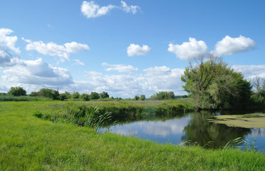 Fototapeta premium river, land with trees and cloudy sky