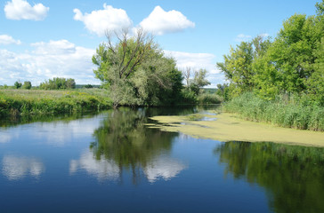 Fototapeta premium river, land with trees and cloudy sky
