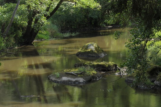 Im Waldnaabtal