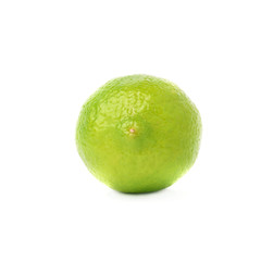 Lime fruit isolated over the white background