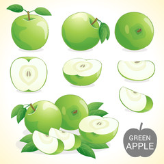 Set of green apple fruit in various styles vector format