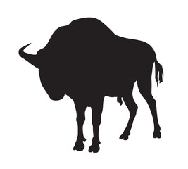 black silhouette of aurochs