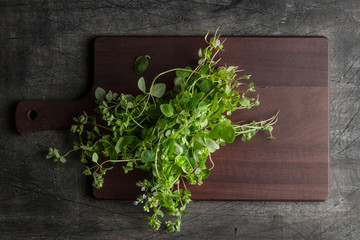 Oregano on the kitchen board on the old dark table