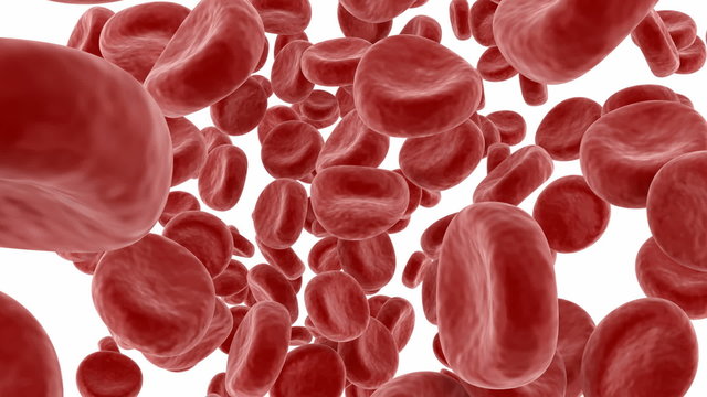 Blood cells flying macro view