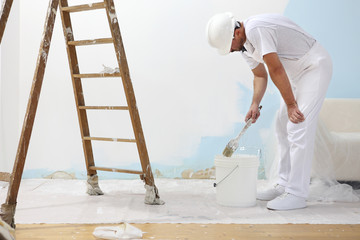 painter man at work takes the color with paint brush from bucket