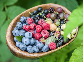 Ripe berries in the wooden bowl over green grass.
