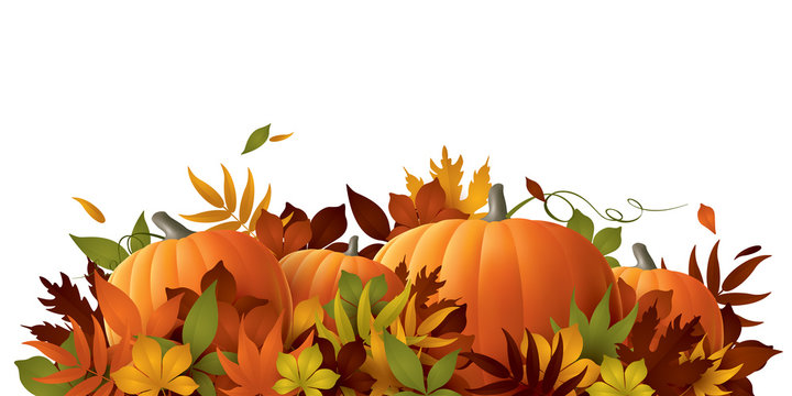 Thanksgiving background. Pumpkins and autumn leaves.