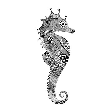 Zentangle stylized black Sea Horse. Hand Drawn vector illustrati