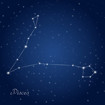 Pisces constellation zodiac sign at starry night sky 