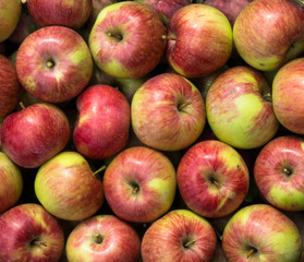Group of green-red apples. Background.