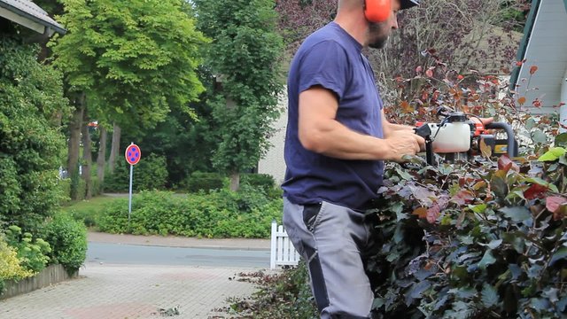 Heckenschnitt mit Motor Heckenschere, gartenarbeit, schneiden von Buchenhecke, audio
 