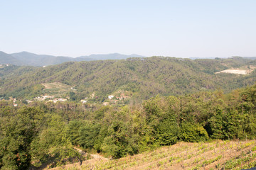 Fototapeta na wymiar paesaggio ligure
