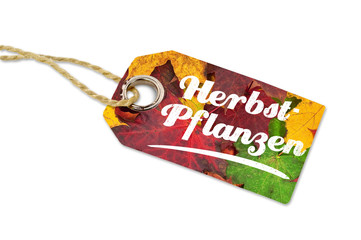 Herbstaktion, Herbstmarkt, Erntedank, Schild, Tafel, Herbstangebot, Holzhintergrund