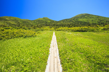 毛無岱から見る夏の八甲田山　青森県青森市