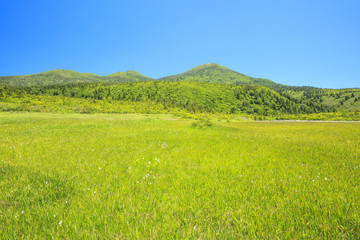毛無岱から見る夏の八甲田山　青森県青森市