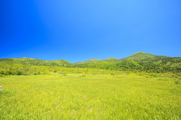 毛無岱から見る夏の八甲田山　青森県青森市