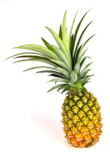 Fototapeta premium pineapple isolated on white