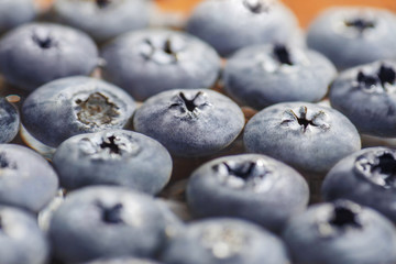 Fresh blueberries floating in water.
Soft Focus view.