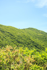 Naklejka premium 夏の白神岳 青森県深浦町