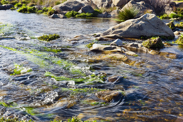 Rio Alberche en Navaluenga. Ávila