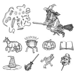 Ink line illustration for Halloween.  - 90383659