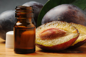 Prunus domestica خوخ Pruim Luumu Blommetræ Prugna Ciruelo europeo Pflaume Prunier Слива...