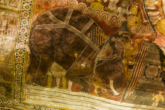 Elefant, Höhlentempel von Dambulla