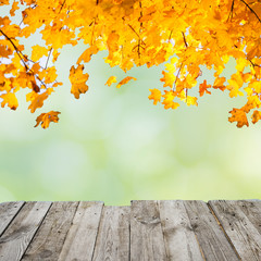 Fototapeta na wymiar Orange fall leaves over wooden desk