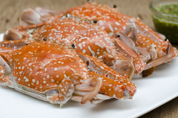 steamed crabs on wood background