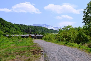 Fototapeta na wymiar 初夏の山岳道路／山形県庄内地方の山岳道路を撮影した写真です。