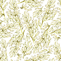 Fototapeta na wymiar Seamless vector pattern with watercolor lacy herbs