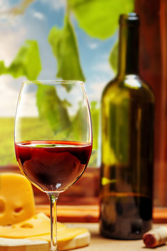 Red wine in glass and bottle