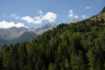 montagne cime bosco verde alpi 