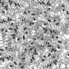 Monochrome seamless pattern with juniper. 