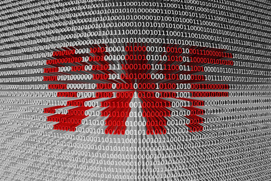 SWF is presented in the form of binary code