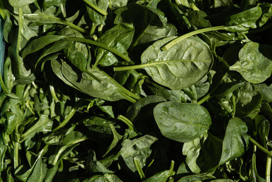 Spinach pile sold in fresh market