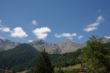 Fototapeta na wymiar montagne cime bosco verde alpi 