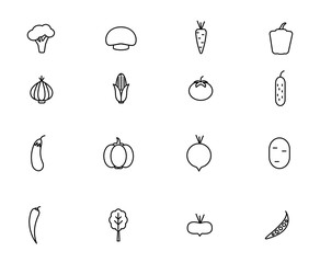 Vegetables  Icons with White Background. Vector illustration