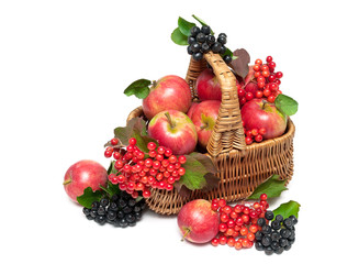 basket with fruits and berries isolated on a white background