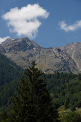 montagne cime bosco verde alpi 