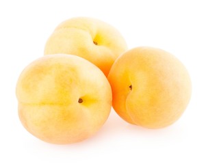 Apricot
