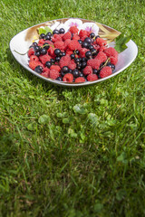 Ripe Raspberry & Black Currant On A Saucer