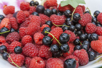 Colorful Mix Of Fresh Berries