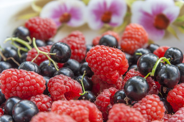 Raspberries & Black Currant Mix