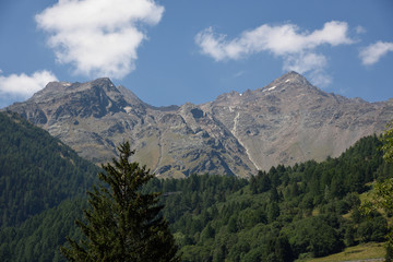 Obraz premium montagne cime bosco verde alpi 